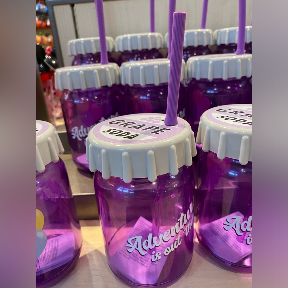 Disney Parks Up Water Bottle